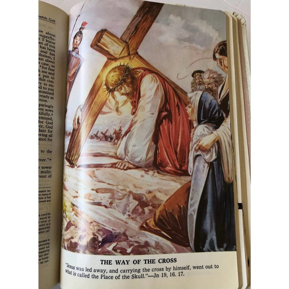 The Holy Bible New American White Saint Joseph Edition Bible - Picture 5 of 7